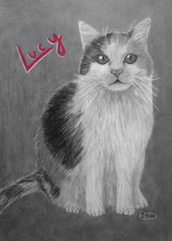 Mit Kohle und Bleistift gezeichnetes Bild mit einer sitzenden Katze