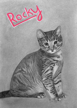 Mit Kohle und Bleistift gezeichnetes Bild mit einer sitzenden Katze