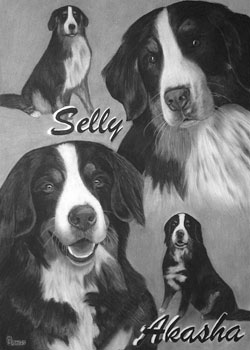 Zeichnung mit Kohle und Bleistift gezeichnetes Foto mit 2 Hunden im Portrait und sitzend mit Originalvorlage zum Vergleich
