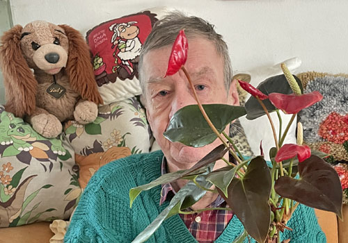 Senior Mann sitzt mit einer Pflanze in der Hand auf dem Sofa, er schaut direkt zur Kamera Teile vom Gesicht sind verdeckt