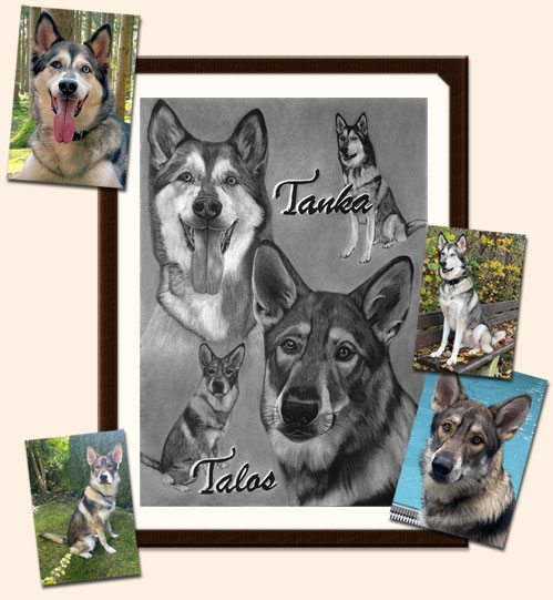 Zeichnung mit Kohle und Bleistift gezeichnetes Foto mit 2 Hunden im Portrait und sitzend mit Originalvorlage zum Vergleich
