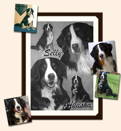 Zeichnung mit Kohle und Bleistift gezeichnetes Foto mit 2 Hunden im Portrait und sitzend mit Originalvorlage zum Vergleich
