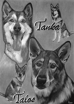 Zeichnung mit Kohle und Bleistift gezeichnetes Foto mit 2 Hunden im Portrait und sitzend