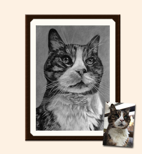 Mit Kohle und Bleistift gezeichnetes Bild mit einer Katze im Portrait mit Originalvorlage zum Vergleich
