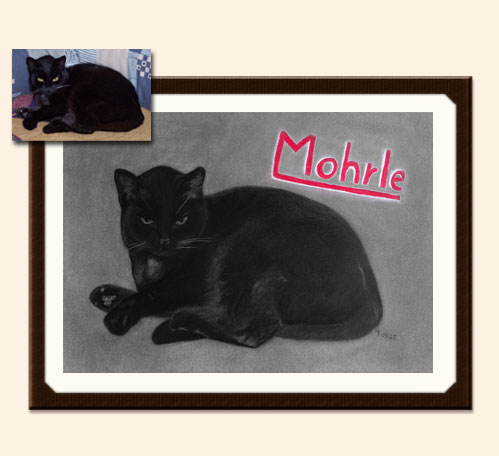 Mit Kohle und Bleistift gezeichnetes Bild mit einer liegenden schwarzen Katze im Portrait mit Originalvorlage zum Vergleich